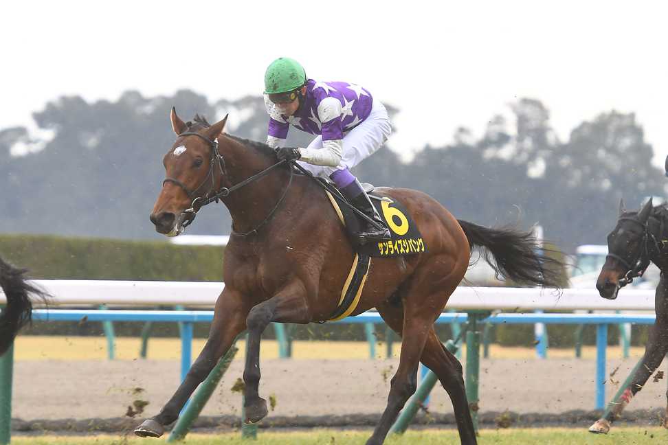 【不来方賞】好相性の武豊と挑むサンライズジパング　久々の砂でも首位争い