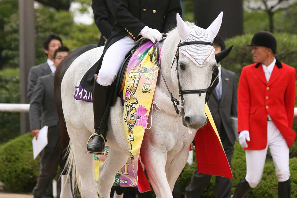 園田競馬の〝日本最年長誘導馬〟アイスバーグ、３１歳で天国へ