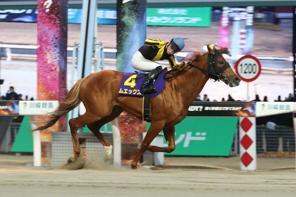 【川崎マイラーズ】ムエックスが5馬身差の圧勝で重賞初制覇！