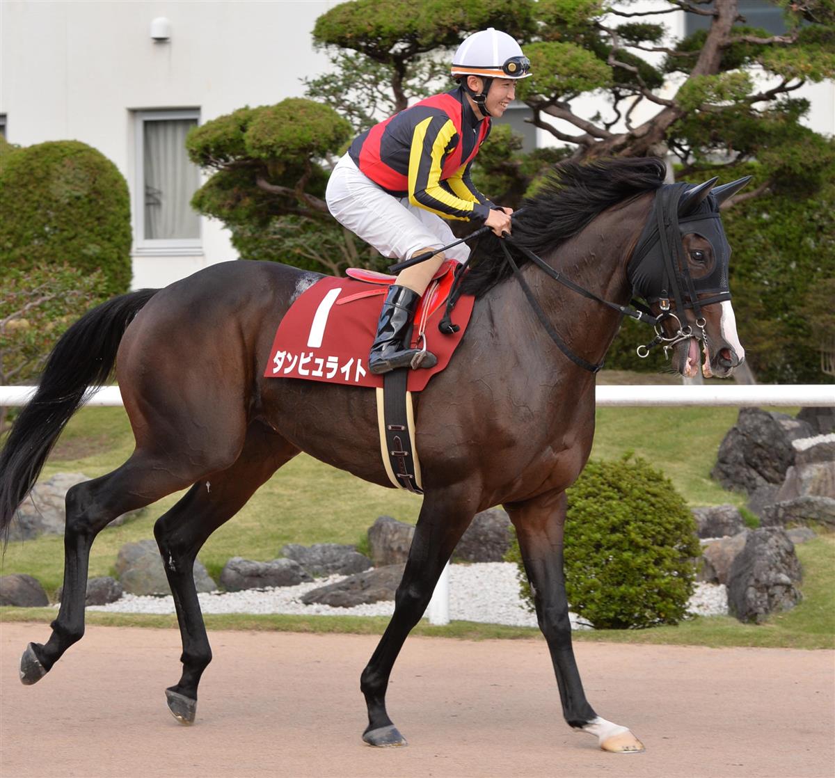 【名古屋グランプリ】ＪＲＡ出走予定馬の発表