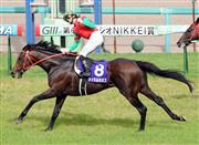 マイネルネオスが引退　根岸で乗馬へ