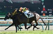 【２歳新馬】中山５Ｒ　大型牝馬ツヅミモンがデビュー勝ち