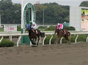 兵庫ジュニアグランプリを勝ったゴーイングパワーが引退、乗馬に
