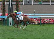 【２歳新馬】札幌５Ｒ　トスアップが５馬身差の完勝