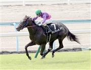 【ひまわり賞】未勝利馬カシノティーダが鮮やか逃走Ｖ