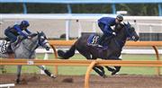 【神戸新聞杯】テッコン、３連勝で菊主役に名乗り！