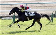 【２歳新馬】京都４Ｒ　ダンビュライトの妹フィブロライトが快勝
