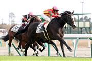 【２歳新馬】中京５Ｒ　外国産馬フォッサマグナが完勝
