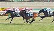 【３歳新馬】中山６Ｒ　ミッキーフォンテンが押し切る