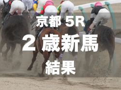 【京都5R・2歳新馬】ストップヤーニングが直線一気の差し切りを決める　長岡禎仁騎手はJRA通算100勝達成