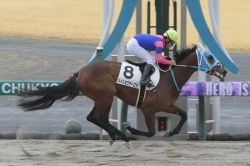 【コース＆馬場状態 傾向と対策】関東オークス2023　コーナーが多いためロスなく競馬できる逃げ馬に注意
