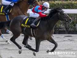 【大井・東京ダービー2024】ズバリ！調教診断　ラムジェットが好調をキープ