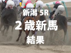 【新潟5R・2歳新馬】12番人気の伏兵スワッガーが最内を伸びてデビューV