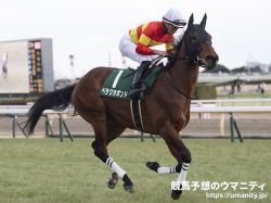 【京都新聞杯2024】逃げ馬の作る展開から推理　逃げ馬不在のレース！日本ダービーの切符を掴むのは？