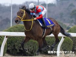 【レース展望】名古屋大賞典2021 連勝を狙うクリンチャーが人気の中心