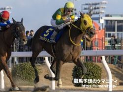 【南関東重賞展望】日本テレビ盃2023　世界最強ダート馬ウシュバテソーロが船橋競馬場で始動‼︎