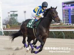 【エルムＳ2024】逃げ馬の作る展開から推理　近年は差し馬優勢 ミトノオー、プロミストウォリアは粘れるか?