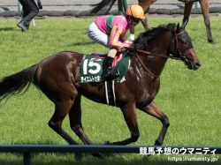 【東京スプリント2024】選定馬（3/25）