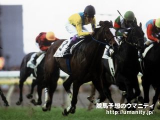 【２歳新馬・新潟５Ｒ】ロードプレイヤーが勝負強さを発揮しＶ