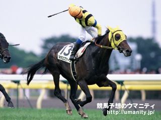 【今日の注目新馬】ピーエムドレミは重賞２勝馬の半妹で調教十分／東京５Ｒ