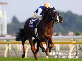 ２９日美浦で２１頭の２歳馬がゲート合格