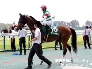 ２３日美浦で７頭の２歳馬がゲート合格