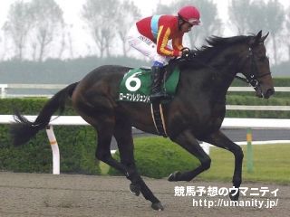 【今日の注目新馬】乗り込み豊富なフクチャンフクメイ　近親に東京大賞典勝ち馬／東京５Ｒ