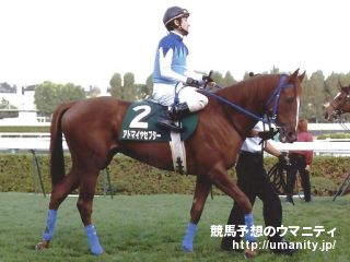 １７日美浦で１１頭の３歳馬がゲート合格