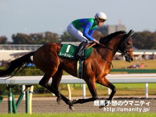 【今日の注目新馬】トーセンレーヴ産駒のチェスター　入念に乗り込まれ初陣から期待／東京4R