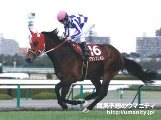 ２０日美浦で９頭の２歳馬がゲート合格