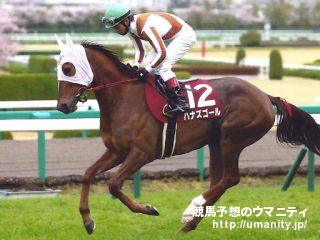 ２４日美浦でハナズゴールの娘など８頭の３歳馬がゲート合格