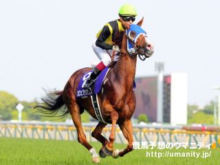 ２６日美浦でカフェブリリアントの息子など２７頭の２歳馬がゲート合格