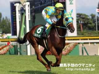 ２１日美浦でウィクトーリアの息子など３２頭の２歳馬がゲート合格