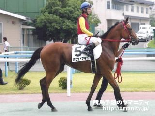 １日美浦で米ＧⅠ勝ちアウダーリャの半妹など１１頭の２歳馬がゲート合格