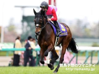 １０日美浦で４１頭の２歳馬がゲート合格