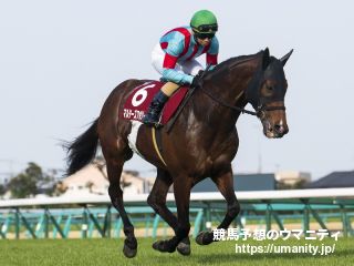 １５日美浦で仏ＧⅠ勝ちイルーシヴウェーヴの娘など２４頭の２歳馬がゲート合格