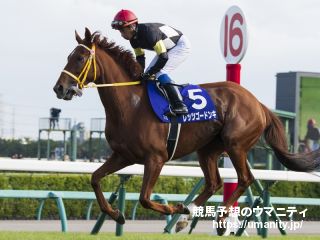 【今日の注目新馬】中京３Ｒ　ポルコスピーノは梅田厩舎ゆかりの血統馬