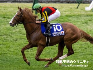 25日美浦でパフォーマプロミスの半妹など23頭の2歳馬がゲート合格