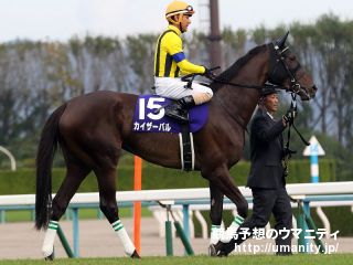 ２１日美浦でカイザーバルの息子など８頭の２歳馬がゲート合格