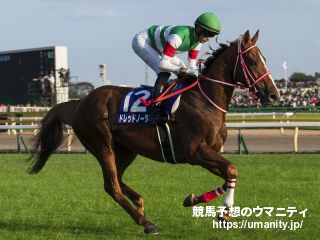 ７月１５、２０、２１日函館競馬場でコスモプラチナの娘など１３頭の２歳馬がゲート合格