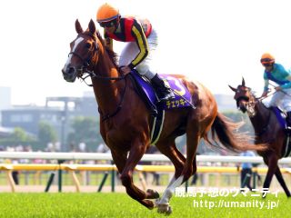 ３０日美浦でユキチャンの息子など１０頭の２歳馬がゲート合格