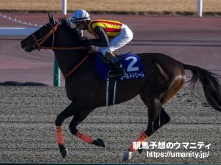 2020年サウジCにおけるゴールドドリームとクリソベリルの成績が変更　優勝馬マキシマムセキュリティの失格に伴い