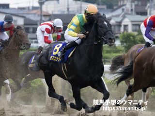 【今日の注目新馬】阪神４Ｒ　調教でＯＰ馬に先着のミフネがスター街道へ