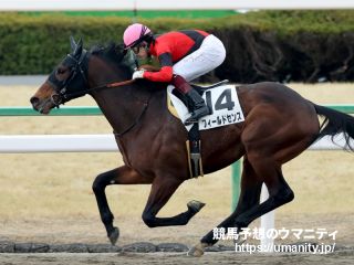 ３１日美浦で１２頭の２歳馬がゲート合格