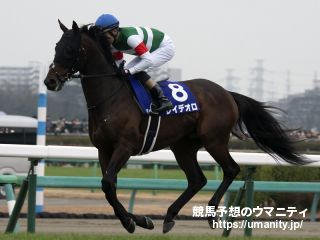 【今週の注目新馬】新種牡馬レイデオロ産駒のマウリノ　母系は手塚厩舎ゆかりの血統馬