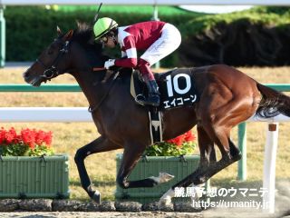 ３０日美浦で米ＧⅠ５勝ステファニーズキトゥンの娘など４３頭の２歳馬がゲート合格