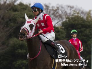 ６日美浦でビリーバーの半妹など３５頭の２歳馬がゲート合格