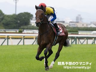 【今週の注目新馬】血統が魅力のロカブルン　高い操縦性とハートの強さに陣営は前向き