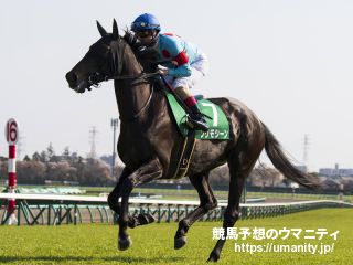 １４日美浦で８頭の２歳馬がゲート合格