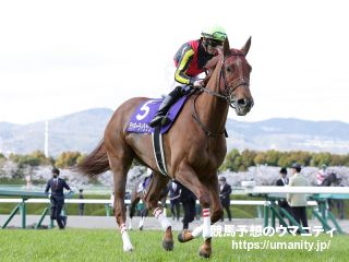 20日栗東でラッキーライラックの半妹など37頭の2歳馬がゲート合格